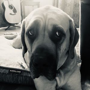 Meet your Posher, Jeff